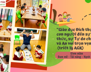 🧐 KHÁM PHÁ SỰ KỲ DIỆU CỦA HỌC TẬP TẠI TRƯỜNG MẦM NON VƯỜN TÁO – Trường Mầm Non Theo Hướng Tiếp Cận Reggio Emilia. 🏫