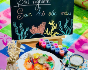 CHƯƠNG TRÌNH DỰ ÁN REGGIO EMILIA VÀ STEAM