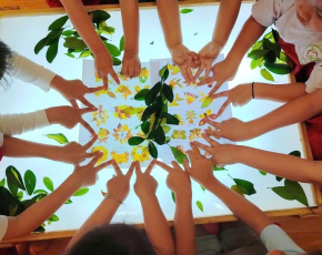 🌿 TỔNG KẾT DỰ ÁN “CÂY XANH QUANH BÉ”