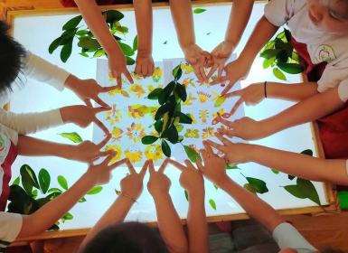 🌿 TỔNG KẾT DỰ ÁN “CÂY XANH QUANH BÉ”