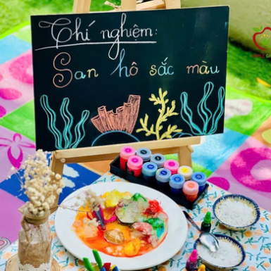 CHƯƠNG TRÌNH DỰ ÁN REGGIO EMILIA VÀ STEAM