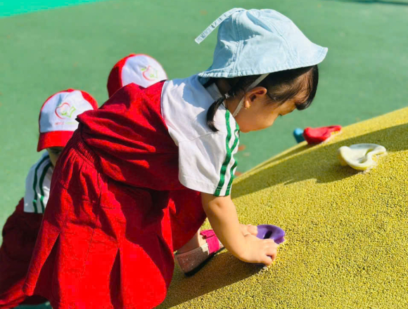 CHƯƠNG TRÌNH DÃ NGOẠI