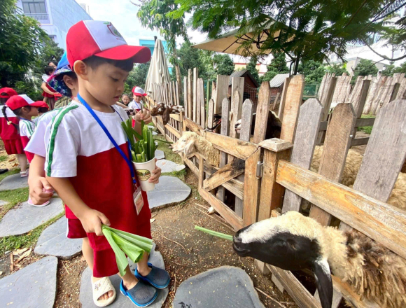 CHƯƠNG TRÌNH NGOẠI KHÓA