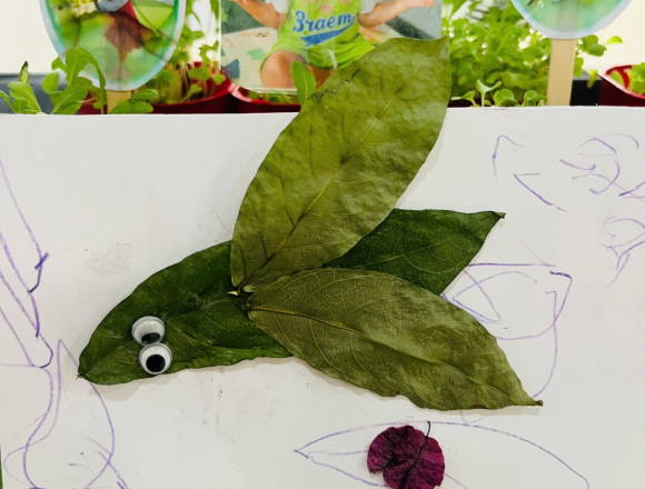 DỰ ÁN THÁNG 1: “CÂY XANH QUANH BÉ”🌱
