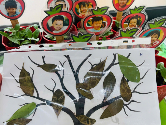 🌿 TỔNG KẾT DỰ ÁN “CÂY XANH QUANH BÉ”