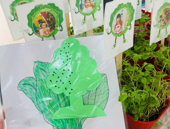 🌿 TỔNG KẾT DỰ ÁN “CÂY XANH QUANH BÉ”
