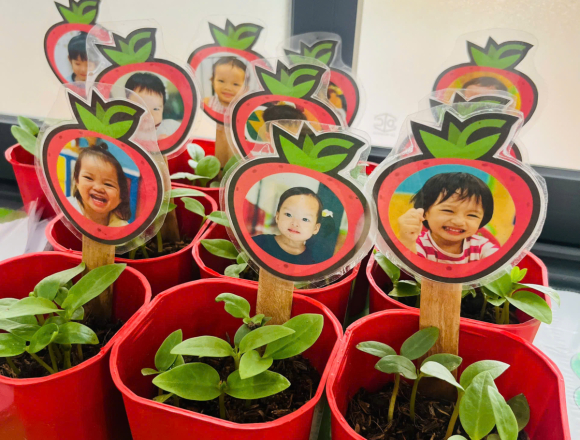 🌿 TỔNG KẾT DỰ ÁN “CÂY XANH QUANH BÉ”