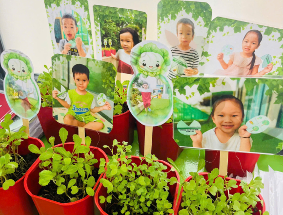 DỰ ÁN THÁNG 1: “CÂY XANH QUANH BÉ”🌱
