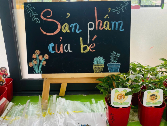🌿 TỔNG KẾT DỰ ÁN “CÂY XANH QUANH BÉ”