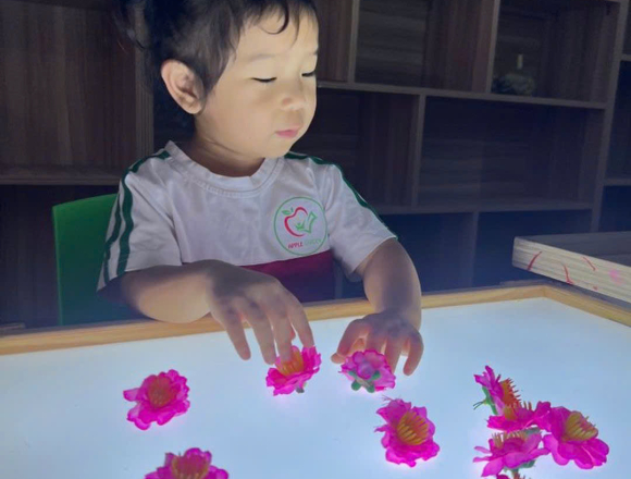 DỰ ÁN THÁNG 2: "NGÀY TẾT QUÊ EM"🌸🧧