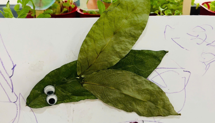  TỔNG KẾT DỰ ÁN “CÂY XANH QUANH BÉ”🌳