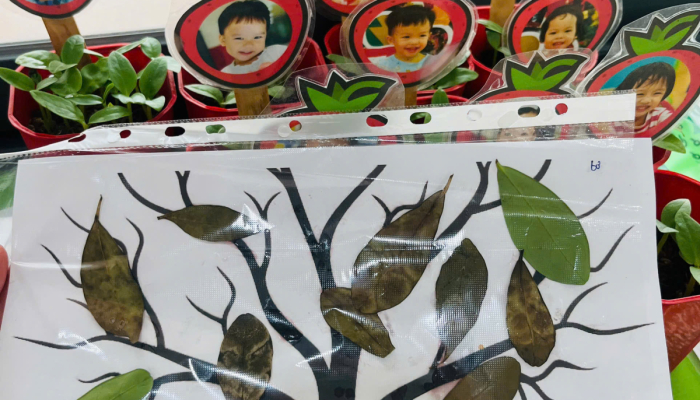  TỔNG KẾT DỰ ÁN “CÂY XANH QUANH BÉ”🌳