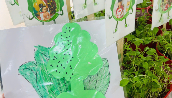  TỔNG KẾT DỰ ÁN “CÂY XANH QUANH BÉ”🌳