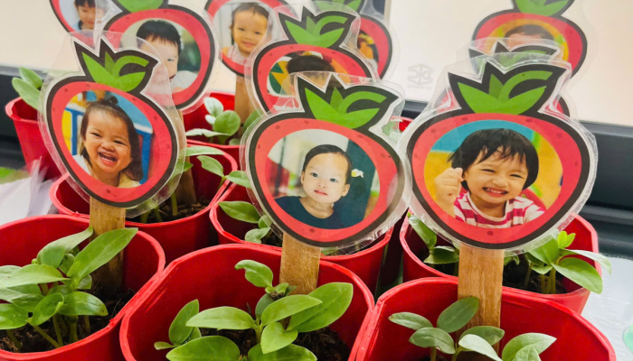  TỔNG KẾT DỰ ÁN “CÂY XANH QUANH BÉ”🌳