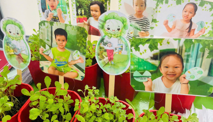  TỔNG KẾT DỰ ÁN “CÂY XANH QUANH BÉ”🌳