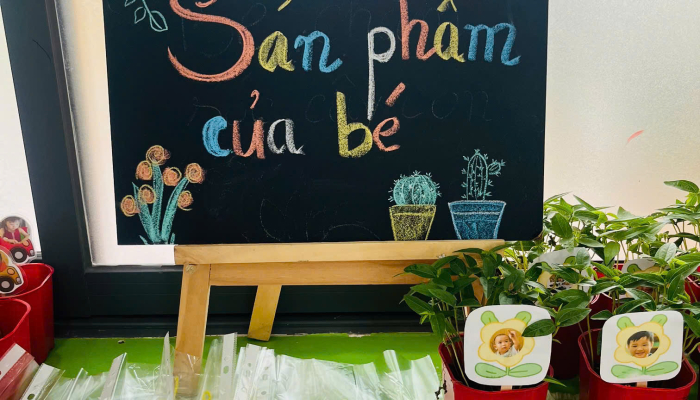  TỔNG KẾT DỰ ÁN “CÂY XANH QUANH BÉ”🌳