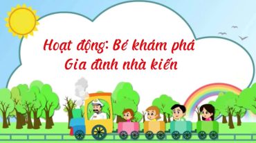 👧 BÉ KHÁM PHÁ GIA ĐÌNH NHÀ KIẾN 🐜